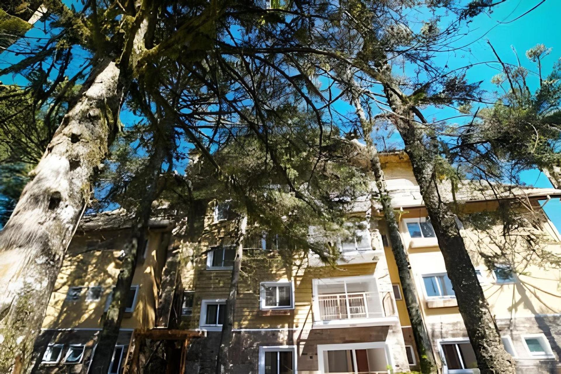 206/2 Apto Luxo Com Piscina Aquecida Gramado Exteriör bild